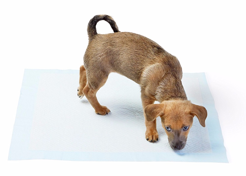 Yıkanabilir Köpek Çiş Pedi - 90 X 60 Cm