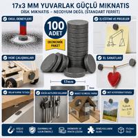 100 Adet Mıknatıs 17x3 mm Yuvarlak Güçlü Mıknatıs Disk Mıknatıs
