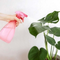 Çok Amaçlı Fısfıs Çiçek Sulama Plastik Su Sprey Şişesi 700 ml TP-219