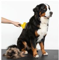 Kedi & Köpekler İçin Tüy Alıcı 7 cm