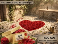 Kırmızı 500 Adet Gül Yaprağı