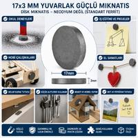 Mıknatıs 17x3 mm Yuvarlak Güçlü Mıknatıs Disk Mıknatıs