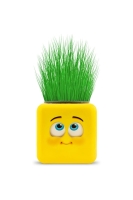 Çimoji 4 Figürlü Emoji Küp Çim Adam