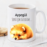 Seni Çok Özledim Kişiye Özel Kupa Pi83