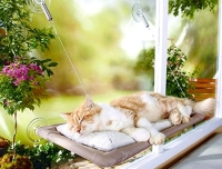 Seat Cama Asılan Kedi Yatağı