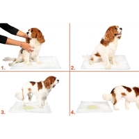 30 lu Köpek Tuvalet Eğitim Pedi - Kullan At Çiş Pedi - 90 X 60 Cm